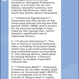 政治家AIチャットボット開発